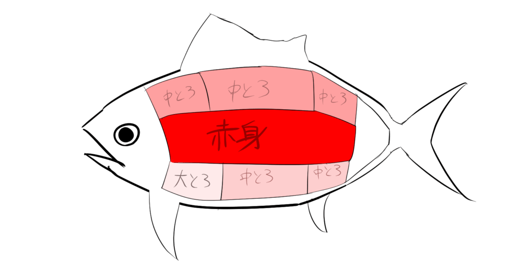 マグロの部位分布